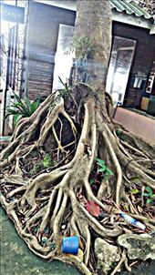 by justing, Views[152]