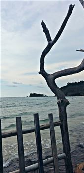 by justing, Views[197]
