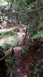 by justing, Views[126]