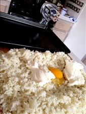 Put the egg, ricotta and the first few cups of flour in a 