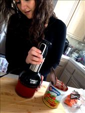 Puree 48 ounces San Marzano tomatoes, add to pot (& water): by justtojess, Views[236]