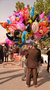 Just like anywhere in the world, the people of Kashgar too are inspired by dreams and fantasy. Here amidst the town bazaar’s stalls of daily goods and necessities, a balloon seller draws kids with cheery balloons of Angry Birds and other universal characters.: by jynkx7, Views[456]