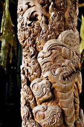 art inside the black house, outside of chiang rai: by jznack, Views[414]