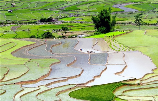 Prepare for the new season