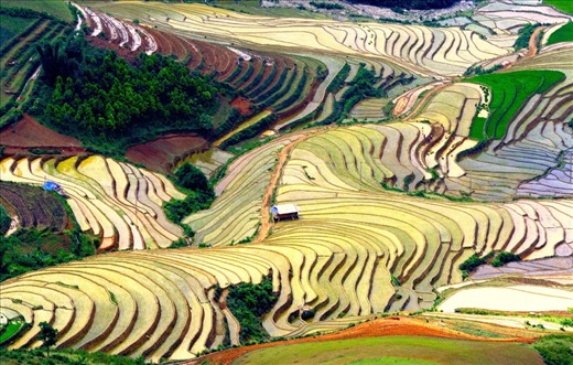 Terraces pour water season