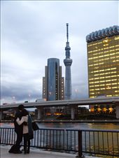 In the same scene, the common dream, or the promise.: by k777, Views[590]