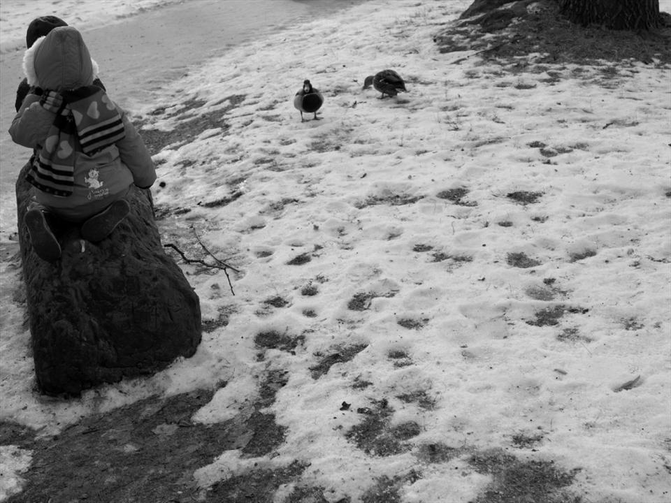 I have great memories of feeding bread to ducks at the park with my mother. Actually when I was little I dreamed of having a pet duckling.

Here you can see 2 random kids sitting on the rock and 2 