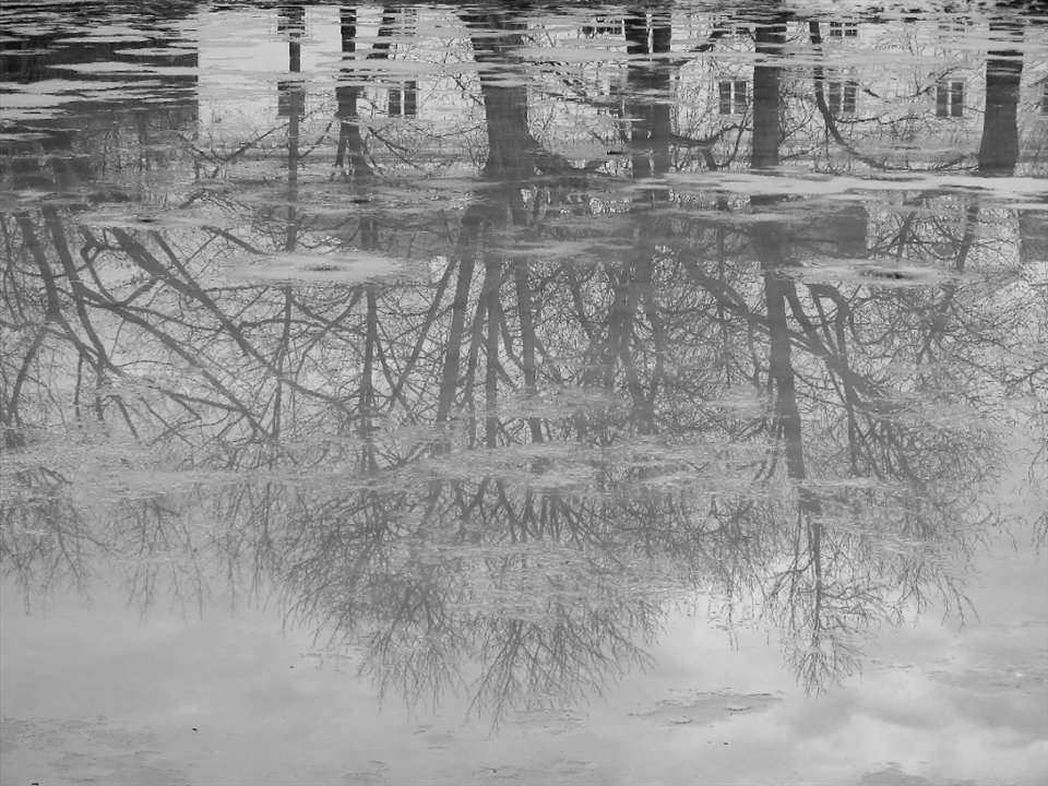 The reflection of The Officer Cadets School in the frozen pond (located in the eastern section of the park)  which survived the Second World War. It is said to be a real pearl since only a few buildings in Warsaw survived the war with no severe damage. Thus this building has been intriguing to me for as long as I can remember. My grandparents would go on walks to the park with me and tell me many interesting facts like that, I learned a lot about the past from them.