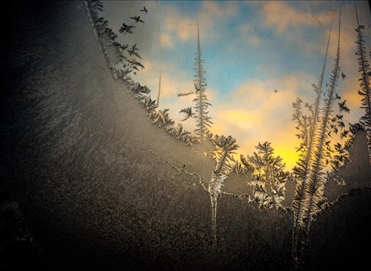 Ice crystals formed on a window to create this winter landscape. Lit by sunset