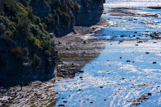 A man and his dog take advantage of a stroll along the rocks, while the tide is 