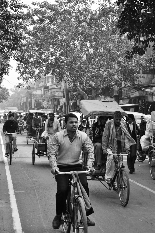 Let it roll. the easiest mode of transport in the old city areas.
@Chandni Chowk, Delhi