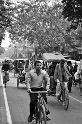 Let it roll. the easiest mode of transport in the old city areas.
@Chandni Chowk, Delhi: by kabilan, Views[645]