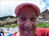 Rob on the typical tourist bus trip.  It got quite warm so they gave us cardboard visors - seemed silly but it was hot up there.: by kabrjb, Views[229]