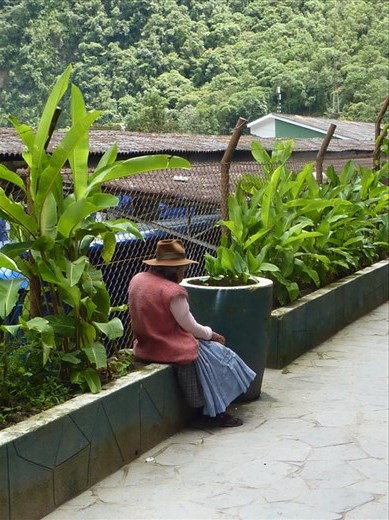 One of the locals just hangin around.  You can't imagine how brown and leathery their skin is but they always have a smile.