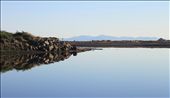 Where the River Meets the Sea & Beyond, View from the Estuary composing North & South Islands of New Zealand in One.This nationally-significant reserve protects a natural mosaic of freshwater lakelets, saltwater lagoons and marshes, tidal sand flats and sandy beach at the mouth of the Waikanae River.
Foreground – Waikanae River Mouth opens to Waikanae Beach, North Island.
Middle Ground (far right) - Tahoramaurea Island (Browns Island), a small offshore Island at the Southern tip of offshore Native Bird Sanctuary, Kapiti Island, North Island.
Background – Marlborough Sounds, the north-easternmost point of the South Island. New Zealand. : by kahikatea, Views[663]
