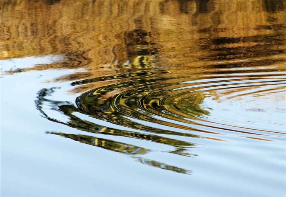 Ripples across the Estuary. 
Abstract colour and pattern are reflected and rippled across the otherwise glass-like surface of the estuary lagoon. At Waikanae Estuary, freshwater from the Tararua Ranges meets the saltwater of the Kapiti coast. Waikanae Estuary Scientific Reserve is connected to the Kapiti Marine Reserve and to Kapiti Island Nature Reserve, providing a rare sequence of protection for animals which move between sea, river and land habitats. Wellington, NZ. 