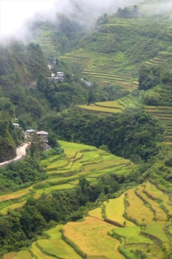 Bokiawan Rice Terraces ushers visitors to one of UNESCO's inscribed sites.