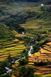 The Ba-ang River not only irrigates the fields but energizes the village homes.: by kahimngan02, Views[699]