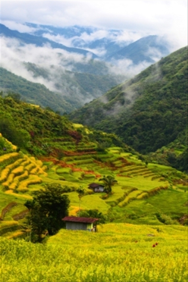 Nabongyawan Rice Terraces is another picture-perfect UNESCO inscribed site.