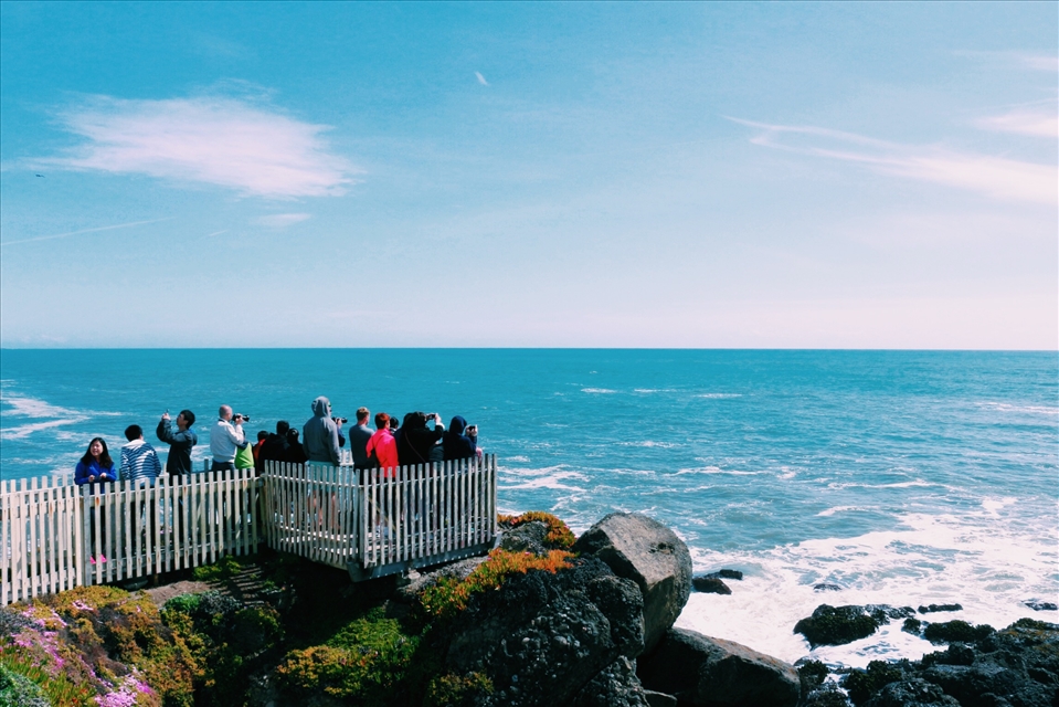 Watching people watching whales 