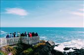 Watching people watching whales : by kaintography, Views[268]