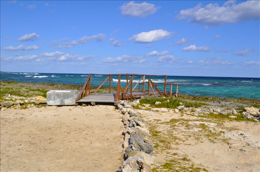 The simple little things can hold the most beauty. 