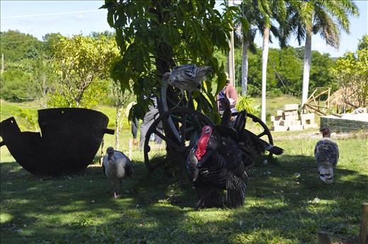 A taste of the country side. 