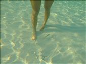 Friendly Fish: by kaitnarciso, Views[337]