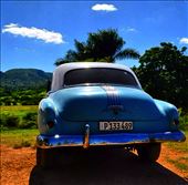 rustic charm: by kaitnarciso, Views[198]