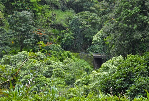 The road less travelled. 