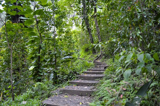 I'm walking down this road of mine, this road that I call home. 