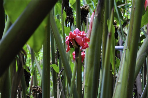 Always searching for the hidden beauty. 