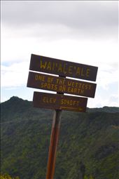 by kaitnarciso, Views[230]