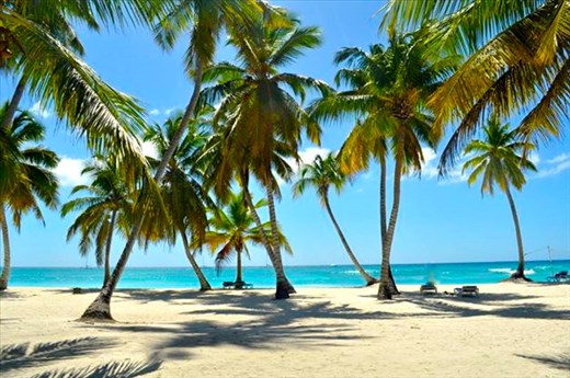 Saona Island, Dominican Republic 