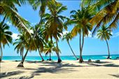 Saona Island, Dominican Republic : by kaitnarciso, Views[180]