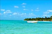 Saona Island, 

Dominican Republic : by kaitnarciso, Views[199]