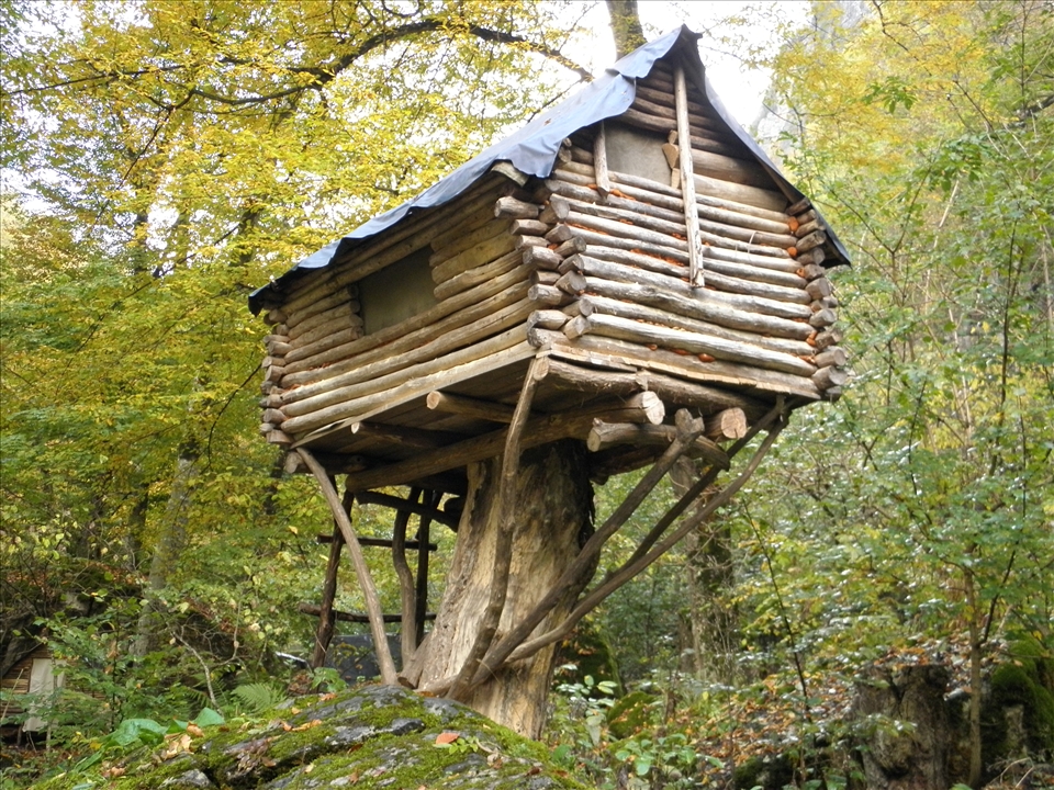 shelter for tourists