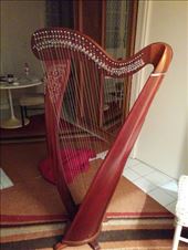 Harp!: by kakimono, Views[120]