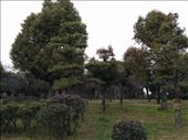 There's green too: by kakimono, Views[105]