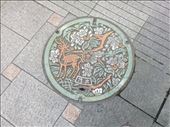 And of course, a Nara manhole cover: by kakimono, Views[181]