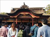 Study Shrine: by kakimono, Views[253]