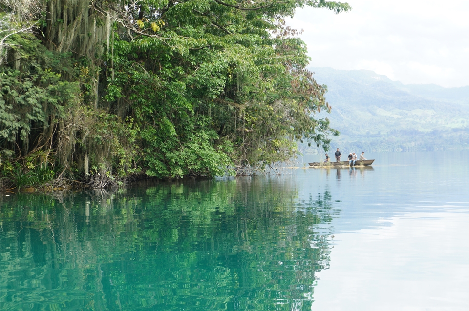 this image was taken in miramar lagoon in the middle of lacandona jungle 