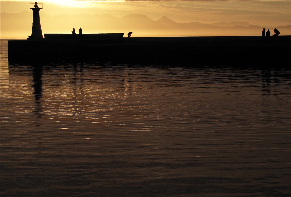 The early bird catches the worm