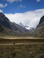 Santa Cruz: by kamzam, Views[253]