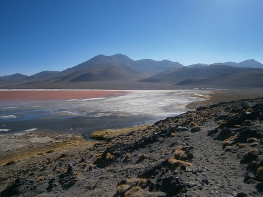 Laguna Colorada