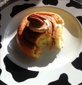 by kanelsnegl, Views[275]