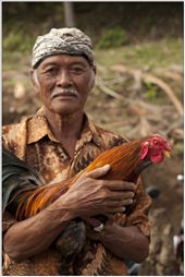 by kaptainquirk, Views[109]