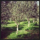 by karamella, Views[246]