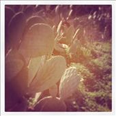 by karamella, Views[231]