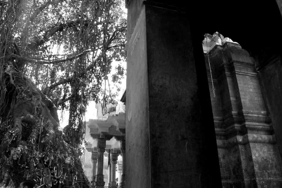 On the 3rd day, I stared my journey downwards from Dharamshala. I halted at Kangra, land of the Kangra Devi temple. The temperature was soaring at 35 degrees when I reached here at 11 in the morning. While taking a few shots of the temple, I sat behind a pillar of a sub-temple within the same premises. The thing I liked about the shot is it's 3 different elements, the sacred tree where people offer their prayers by tying chunris, the main temple's backside and the sub-temple's pillar. The shot looked beautiful because of the beautiful architecture combined with shaded sunlight courtesy the dense tree.